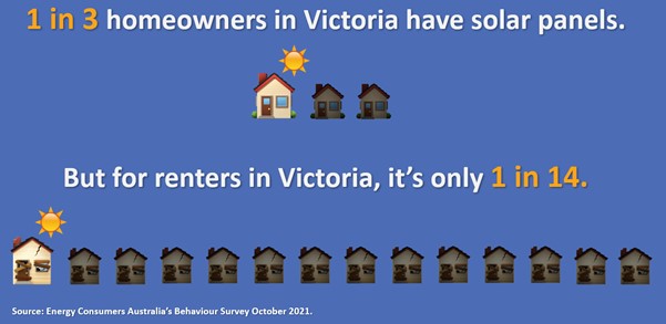 A graphic with text '1 in 3 homeowners in Victoria have solar panels. But for renters in Victoria, it's only 1 in 14.' The text is illustrated with two rows of cartoon houses, the first row with three houses one of which is lit up by the sun, the second with 14 of which one is lit by the sun.
